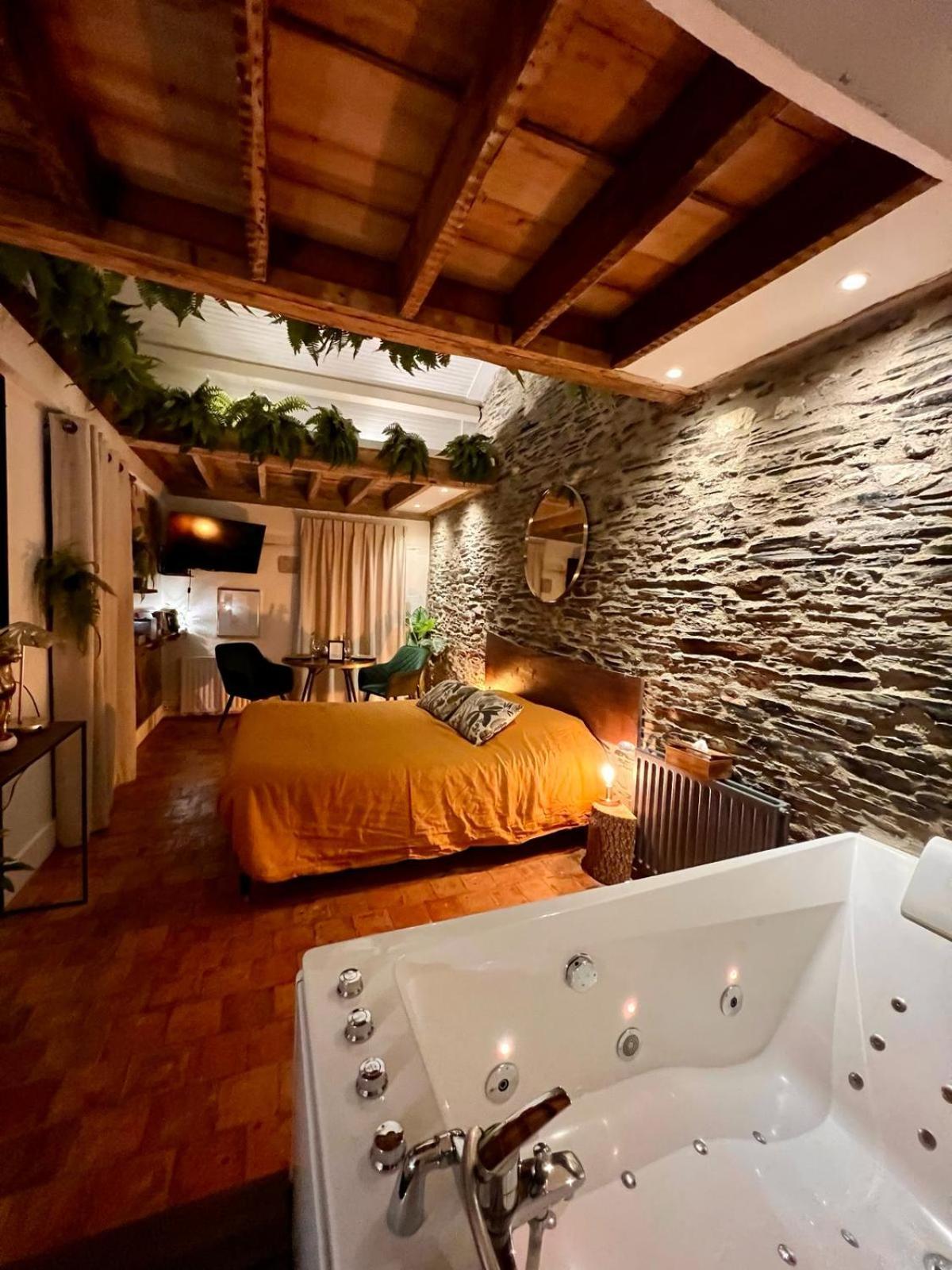 Jungle - Les Petits Plaisirs Appartement Angers