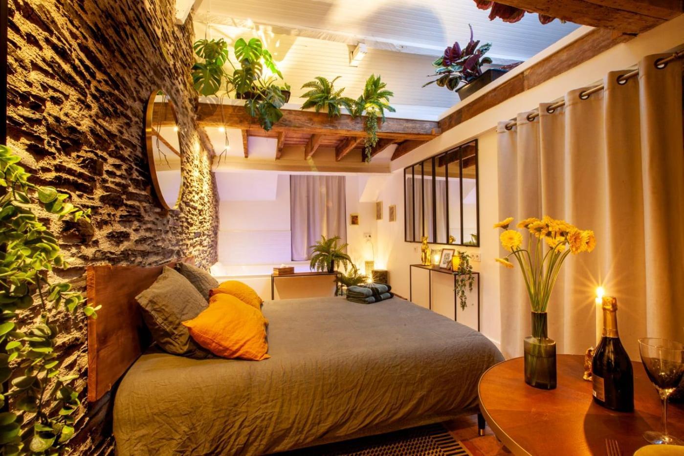 Apartment Jungle - Les Petits Plaisirs Angers