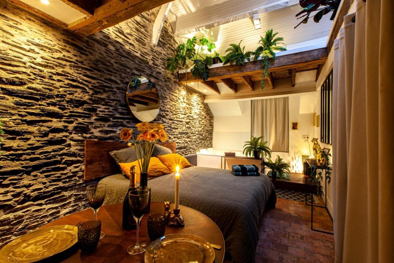 Jungle - Les Petits Plaisirs Appartement
